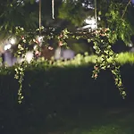 Il Vigneto 3*