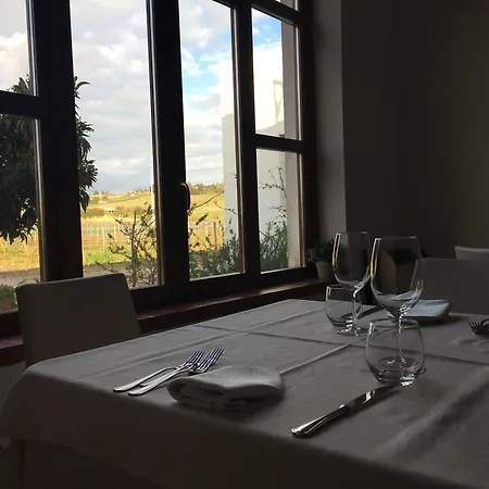 Il Vigneto