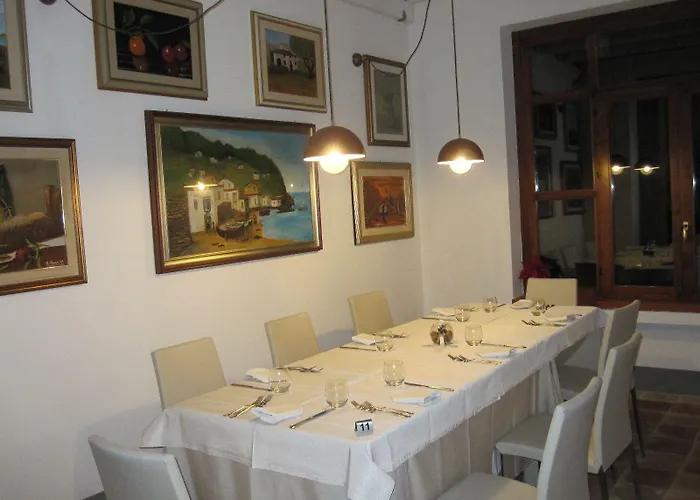 Il Vigneto